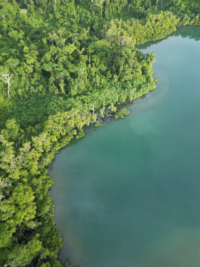 Construction Services