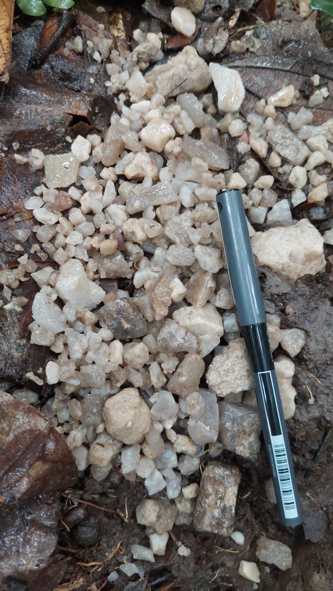 Activités Chinga Mines Gabon