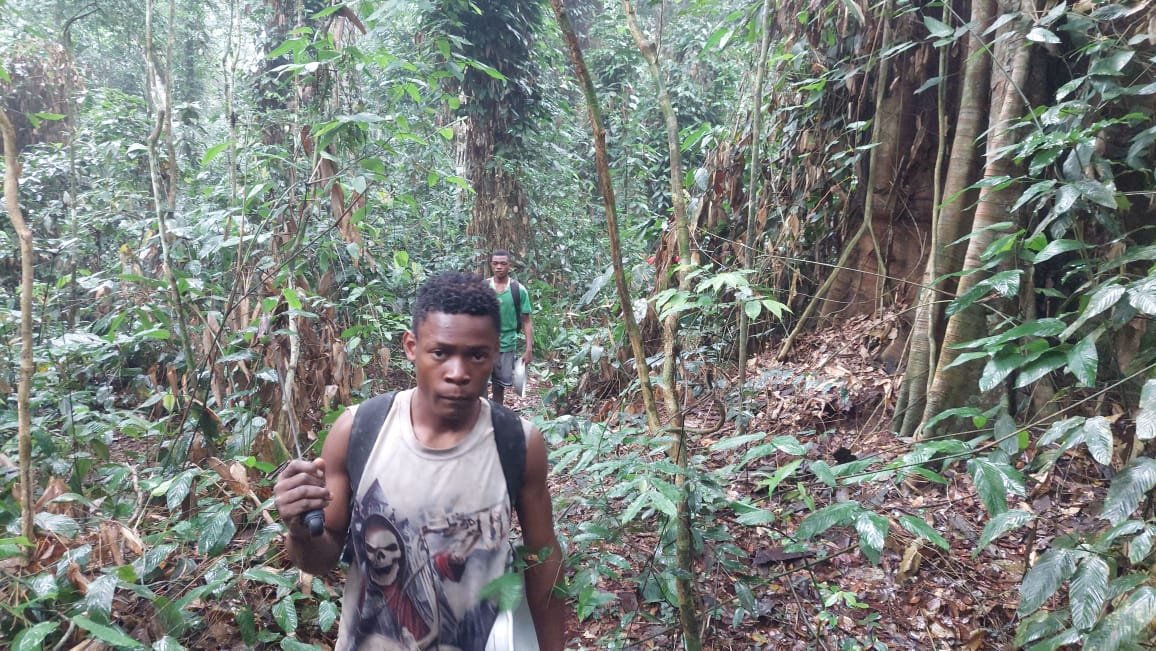Activités Chinga Mines Gabon