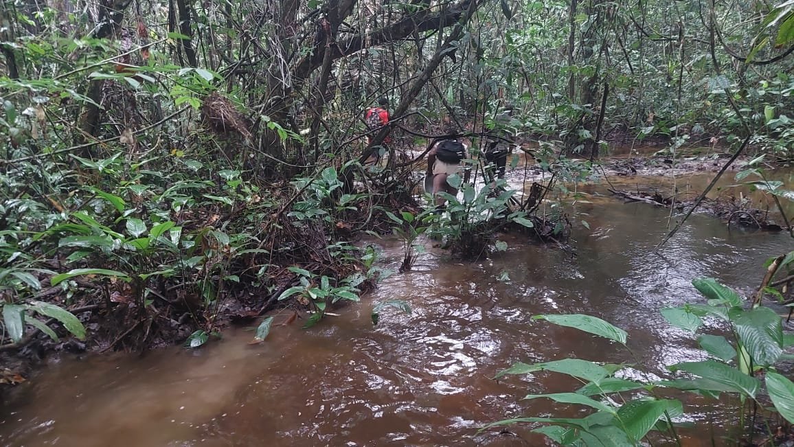Activités Chinga Mines Gabon