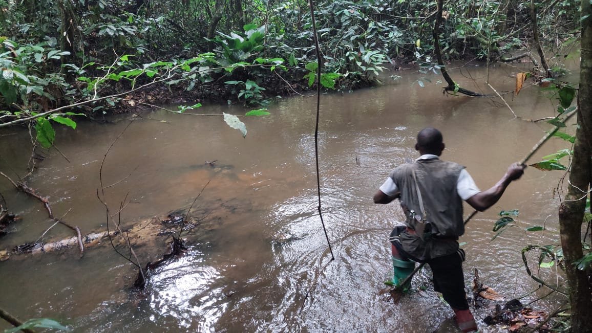 Activités Chinga Mines Gabon