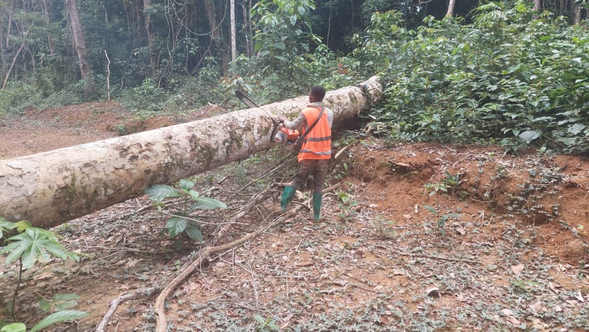 Activités Chinga Mines Gabon