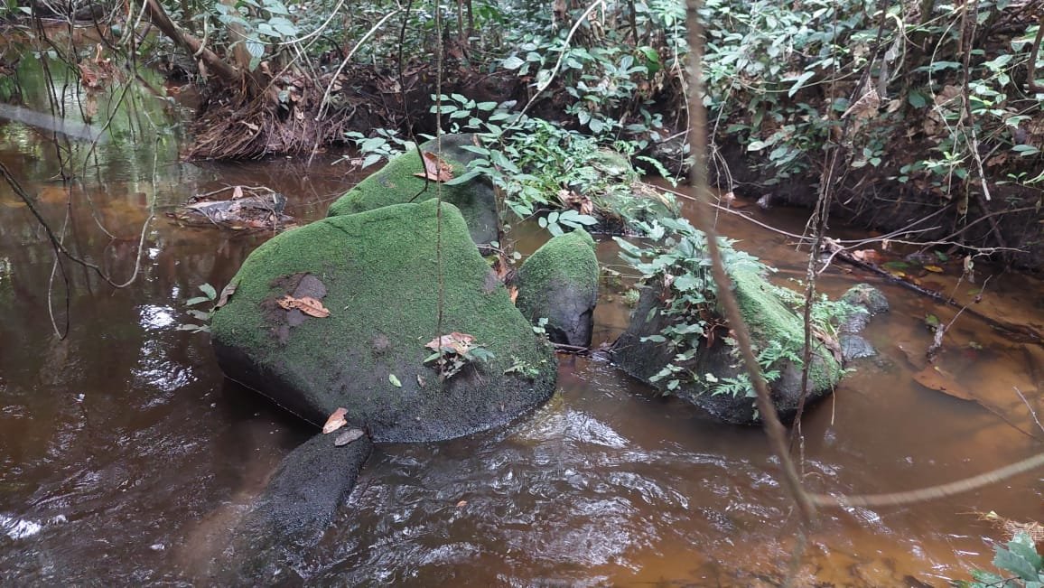 Activités Chinga Mines Gabon