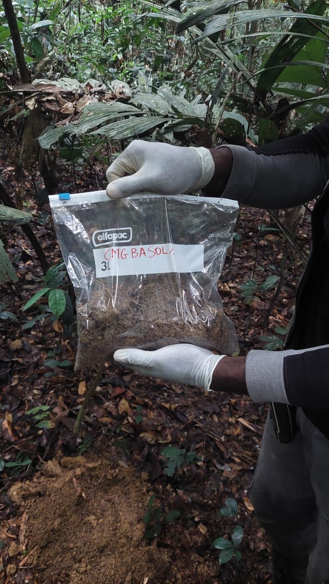 Activités Chinga Mines Gabon