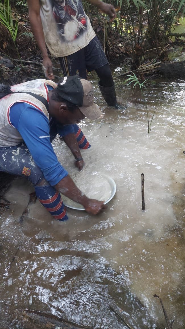 Activités Chinga Mines Gabon