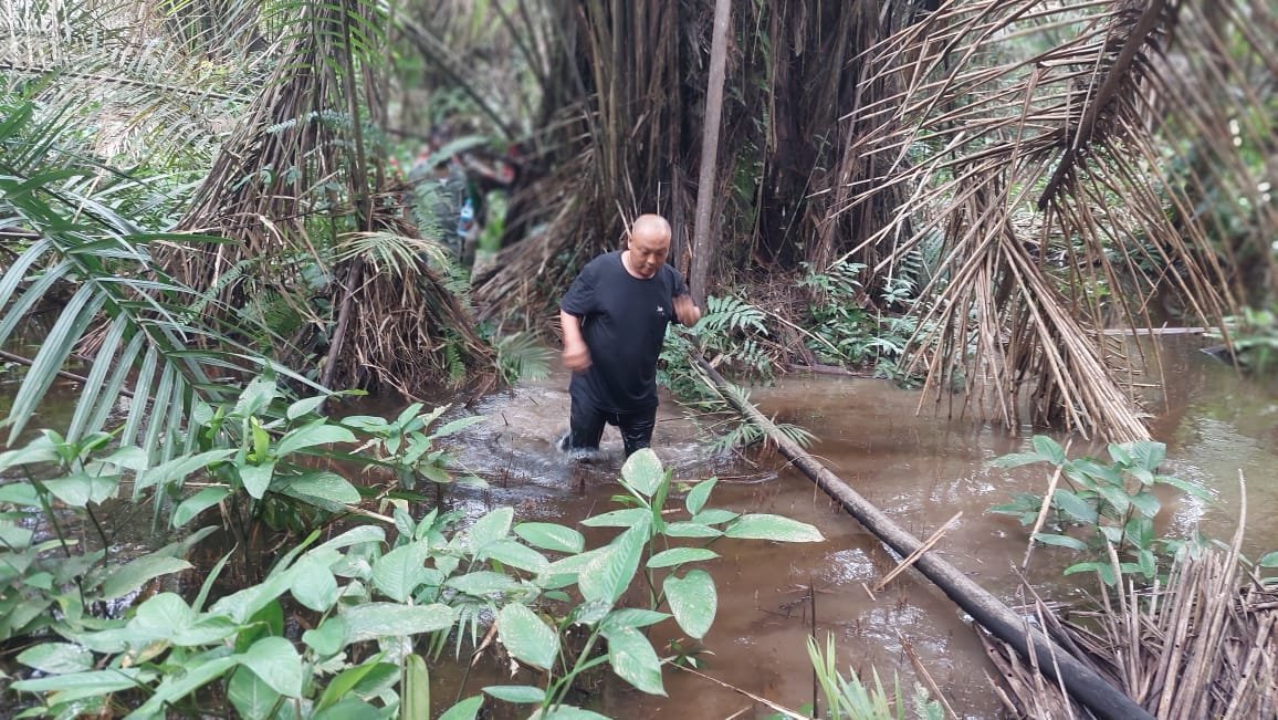Activités Chinga Mines Gabon