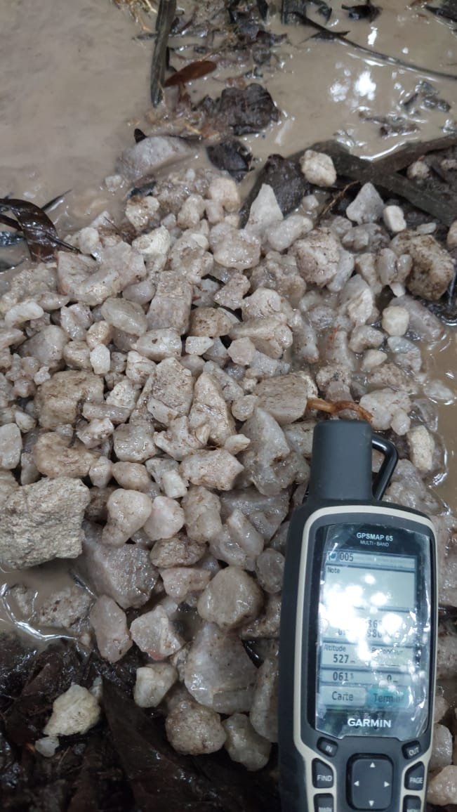 Activités Chinga Mines Gabon
