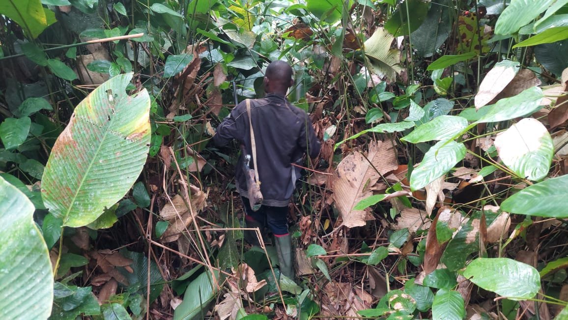 Activités Chinga Mines Gabon